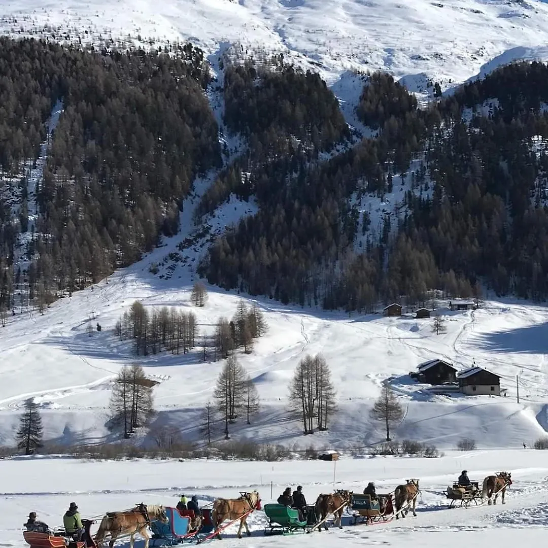 Baita Soldanella - Livigno 0*,
